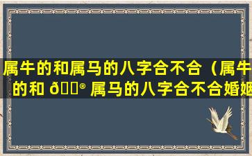 属牛的和属马的八字合不合（属牛的和 💮 属马的八字合不合婚姻）